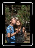 la cage 007 * 2336 x 3504 * (3.43MB)